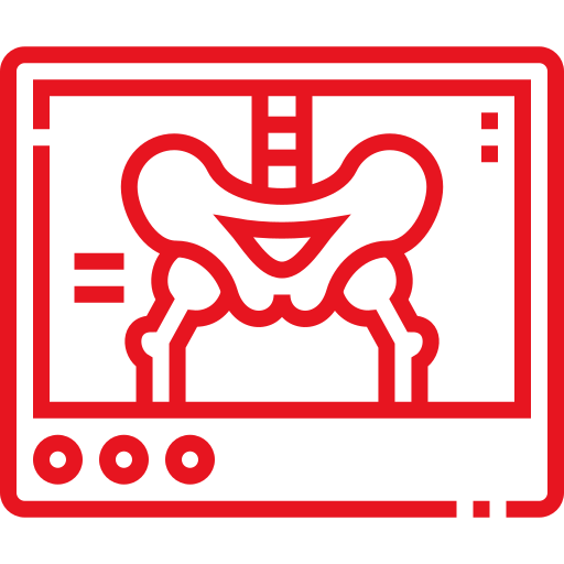 Red line drawing of a pelvis and hip bones shown on a computer or X-ray monitor screen, with circular buttons and anatomical details visible.
